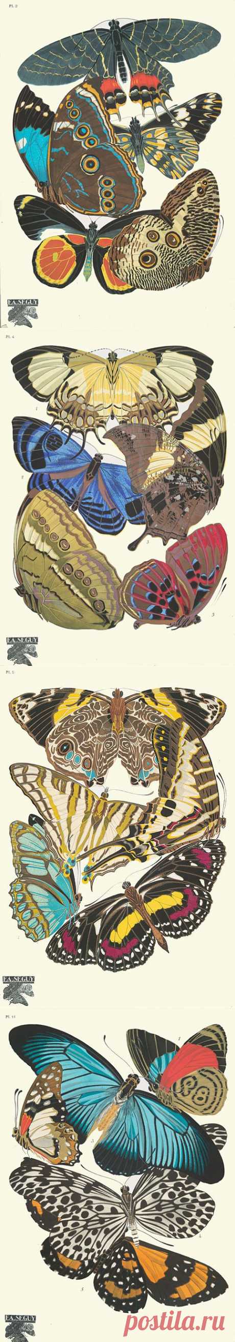 Butterflies.Орнамент Pre-Victorian to Art Deco.