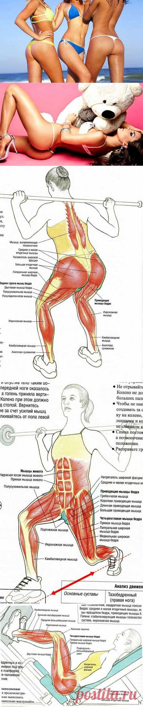 Как накачать бразильские ягодицы | ПолонСил.ру - социальная сеть здоровья