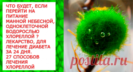 Что будет, если перейти на питание продуктом для астронавтов, манной небесной, одноклеточной водорослью хлореллой? Уже есть лекарство, полученное из этого суперпродукта, для лечение диабета за 24 дня. 27 способов лечения и оздоровления хлореллой.