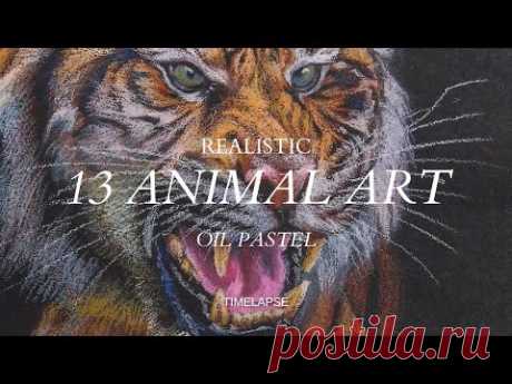 13 Mesmerizing Oil Pastel Animal Drawings | Time lapse