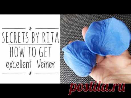 Секретики  от Риты  как получить отличный молд  Veiner