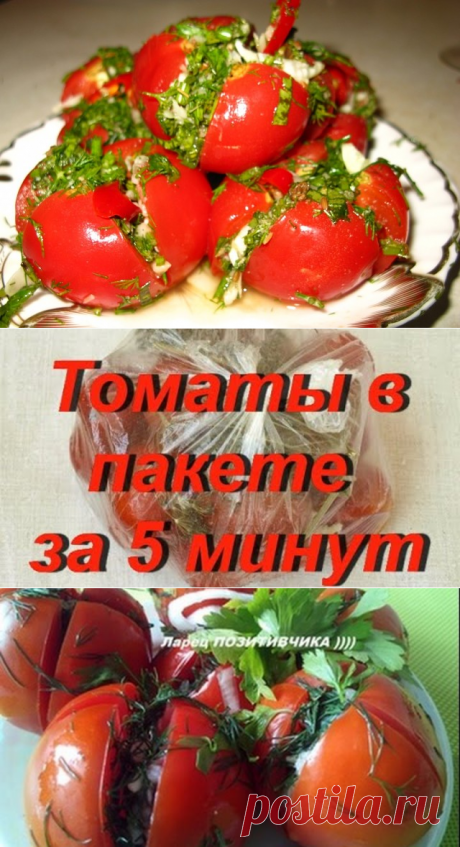 ВКУСНЕЙШИЕ в ПАКЕТАХ и ПОМИДОРЧИКИ, и ОГУРЧИКИ &quot;Страсть, как вкусно&quot; 

Ингредиенты: 

- 1 кг. помидор или огурцов 
- 1 ст. л. соли 
- 1 ч. л. сахара 
- укроп, 
- 1-2 головик чеснока.