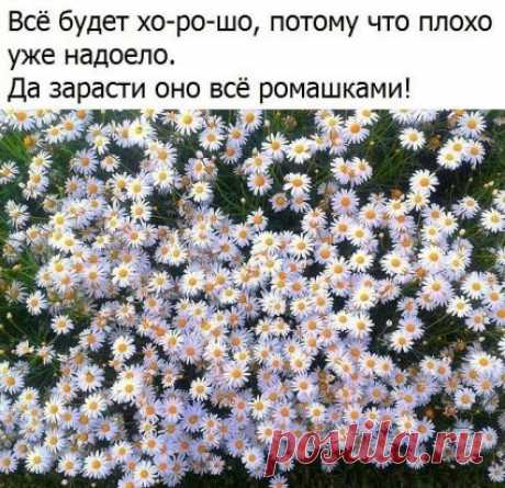 (62) Одноклассники