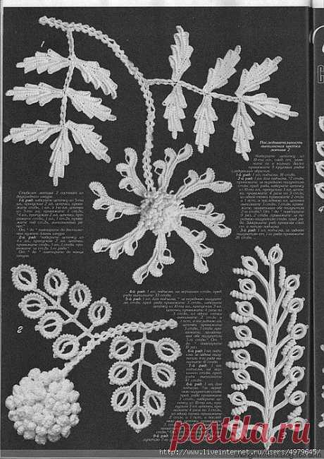 ЛИСТЬЯ И ЦВЕТЫ ИРЛАНДСКОГО КРУЖЕВА.