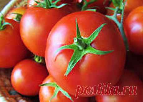 Урожайные томаты У каждой культуры есть свои секреты урожайности. А у томатов их — на целый роман хватит. Но зато уж и помидорчики будут — объеденье! Почти все нехитрые (но очень эффективные) приёмы опытных дачников мы собрали здесь, для вас.