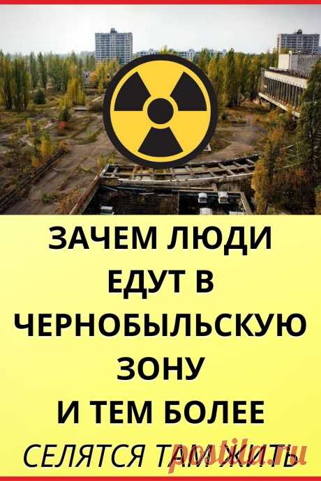 Зачем люди едут в Чернобыльскую зону и тем более селятся там жить