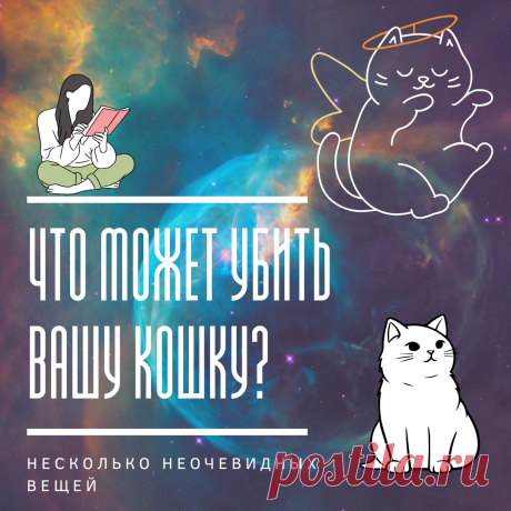 Что может довести вашу кошку до смерти? | Дневник кошатницы | Дзен