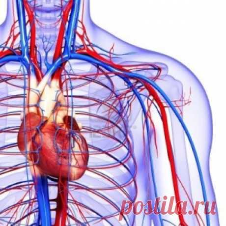ПРИЗНАКИ ПЛОХОГО КРОВООБРАЩЕНИЯ. НЕ СТОИТ ИГНОРИРОВАТЬ!!! - МирТесен