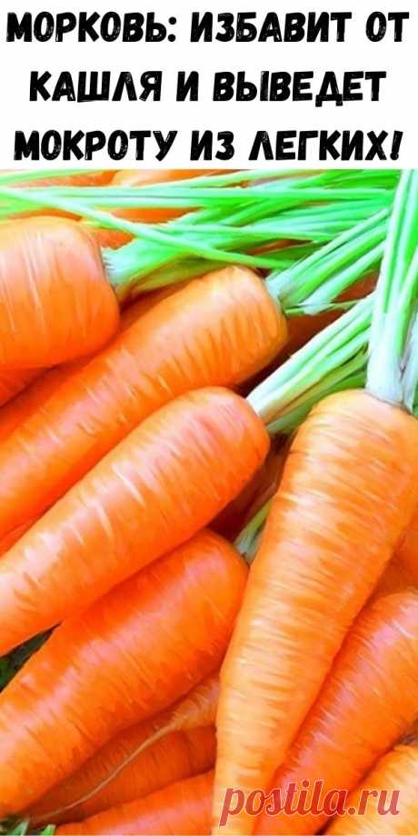 Морковь: избавит от кашля и выведет мокроту из легких! - Полезные советы красоты