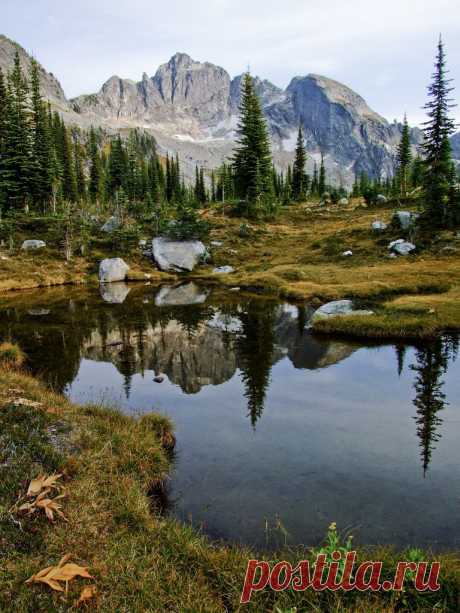 Just another world and universe citizen... — wanderthewood: Drinnon Pass, Valhalla Provincial...