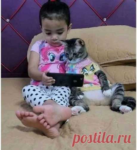 Хотели отучить ребенка от телефона и завели кота))) Итог: