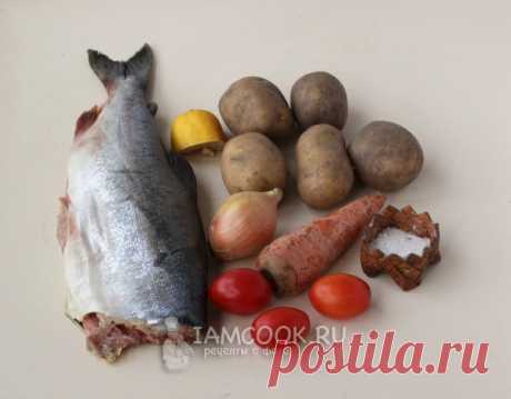 Горбуша с картошкой в майонезе в духовке — рецепт с фото пошагово