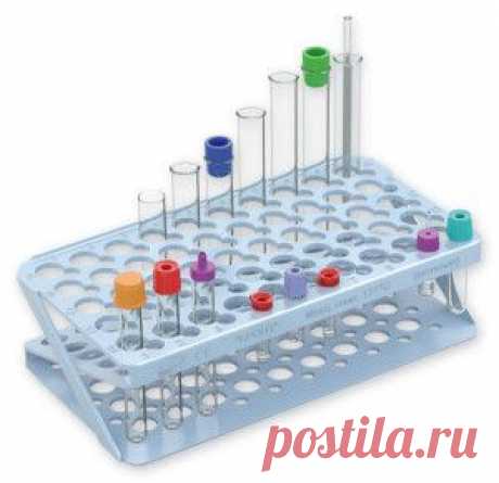 Исследование плодово ягодного сока перед виноделием