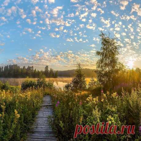 Летний рассвет на Морозовских озёрах. Ленинградская область.
📷 Фёдор Лашков