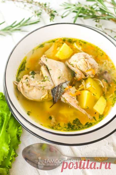 Суп из перепелов — рецепт с фото на Русском, шаг за шагом. Суп с перепелками - вкусное первое блюдо, которое получается одновременно и диетическим, и наваристым.