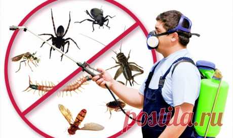 Эффективная борьба с насекомыми