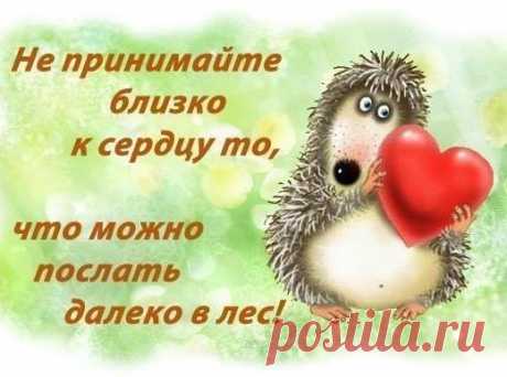 СОВЕТЫ