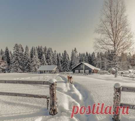 Зима в деревне. Вологодская область, д.Холдынка.
📷 Федор Кованский