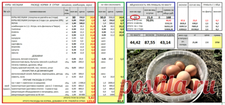 Решил посчитать выгоду от 30 до 50 кур несушек. Плакать или радоваться ? | Хозяйство Воронова | Яндекс Дзен