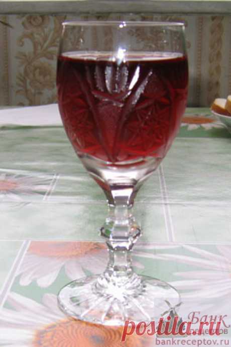 Рецепт вина из красной смородины