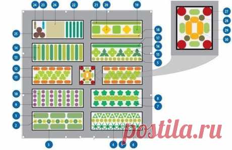 Долго искала схему овощной клумбы, чтоб все культуры находились в выгодном для них соседстве - Наша дача - медиаплатформа МирТесен