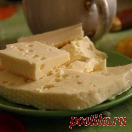 Домашний сыр - МирТесен