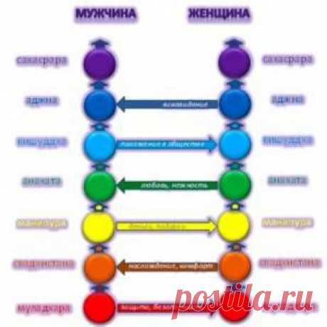 Секреты семейного счастья и 7 чакр