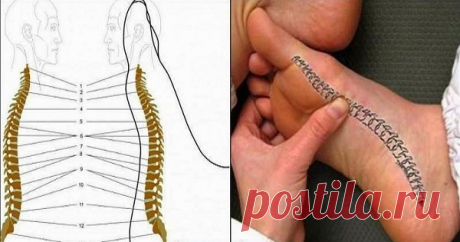 Болит спина? Благодаря этому чудодейственному массажу стоп ты избавишься от проблемы!