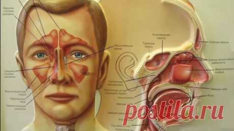 Промывание носа. За и против Промывание носа. Общие сведения и современные данные Промывание носа часто упоминается как дополнительный метод лечения многих заболеваний носа и околоносовых пазух. Несмотря на свою популярность, метод до сих пор остается загадкой и полон неясностей относительно показаний к применению и...