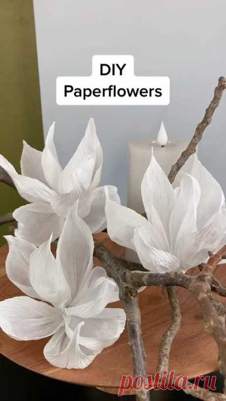 Diy Papierblumen mit Floristenkrepppapier