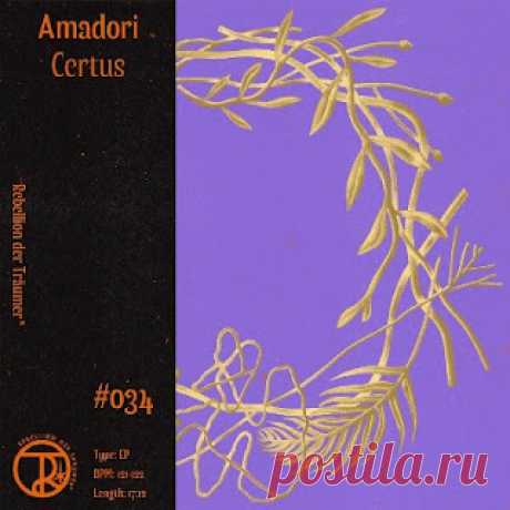 lossless music  : Amadori - Certus