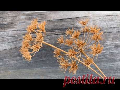 ABC TV | How To Make Old Carrot Flower Paper - Craft Tutorial