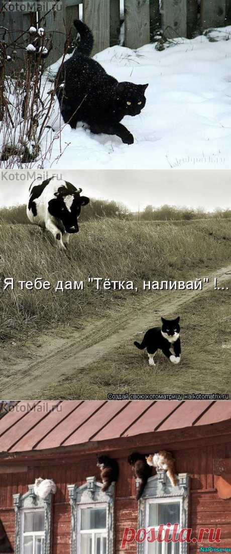 Скучно у нас на деревне!