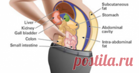 ТОКСИНЫ, ХРАНЯЩИЕСЯ В ВАШИХ ЖИРОВЫХ КЛЕТКАХ, ДЕЛАЮТ ВАС ПОЛНЫМИ И ОПУХШИМИ. ВОТ КАК ИХ ОЧИСТИТЬ