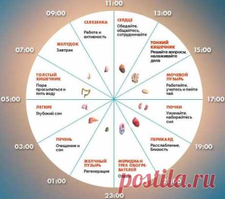 ЕСЛИ НЕ СПИТСЯ В ОДНО И ТО ЖЕ ВРЕМЯ, ОРГАНИЗМ ПРОСИТ О ПОМОЩИ!! 
У бессонницы своё расписание. Если вы заметили, что все чаще стали просыпаться по ночам или под утро, и в одно и то же время, это серьезный сигнал от организма, который просит помощи. Дело в том, что мы живем по собственным биологическим часам, и это расписание установлено природой. В каждый промежуток времени включаются активные фазы каких-то органов, соответственно, и пассивные стадии других. Потому и говорят, что ночью обязател