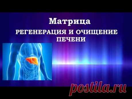 Матрица Гаряева💠Регенерация и Очищение Печени🍀Matrix Garyaev💠Regeneration and Cleansing of the Liver