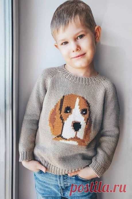 Идеи вязания детского свитера с собачкой