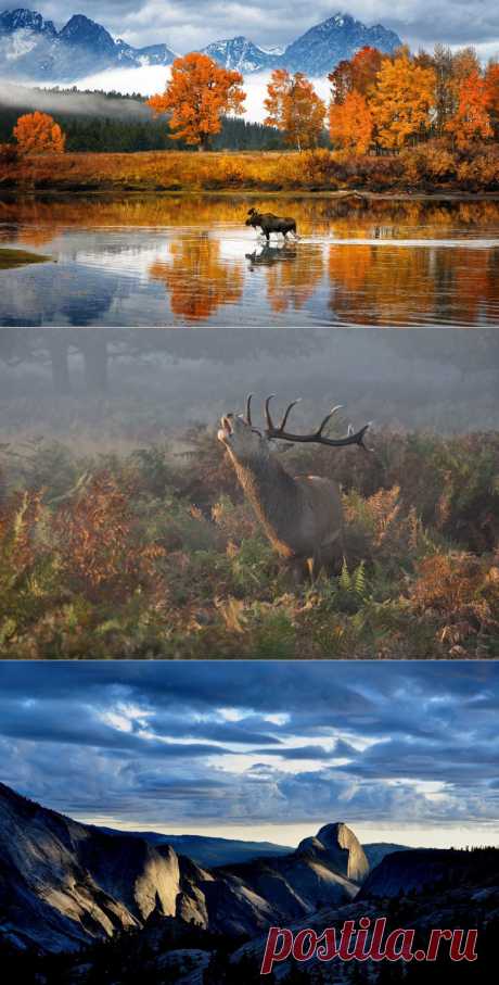 ФотоТелеграф » Фотоконкурс National Geographic Photo Contest 2013 (продолжение)