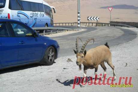 Мицпе Рамон. Дорога на Эйлат