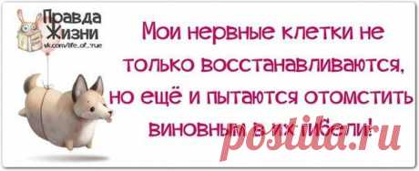 ПРОСТО ТАК.. - БЛОГ Надежды Марченко - Группы Мой Мир