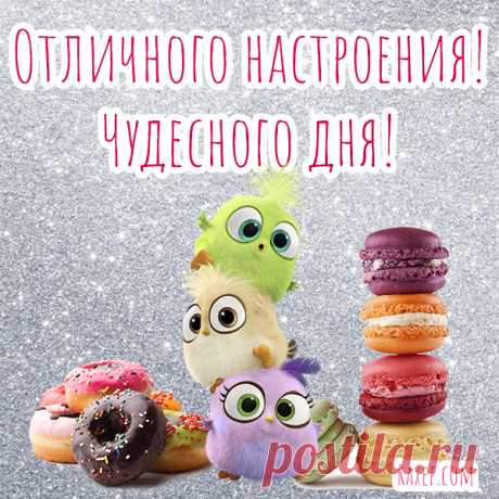 Отличного настроения! Хорошего дня! Открытки, картинки и пожелания своими словами, в прозе! Дорогие друзья! Сегодня такой замечательный день... | Страница 3