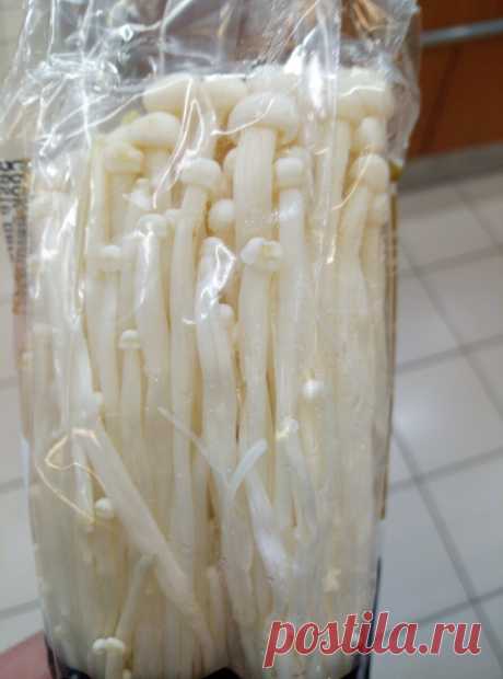 Какие свежие грибы можно купить в супермаркете | Директор столовой | Яндекс Дзен