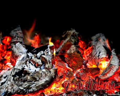 Чем посыпают угли для жарки шашлыка на Кавказе | Четыре вкуса