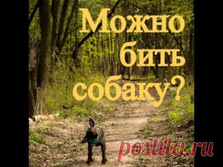 Можно ли бить собаку?Нужно ли бить собаку во время дрессировки?