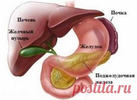 Застой желчи - как его избежать и как лечить