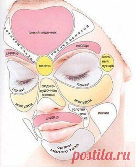 По местонахождению прыщей можно узнать с какими органами у вас проблемы.