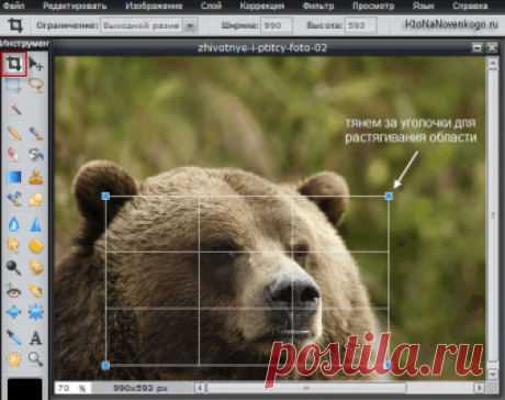 Обрезать или изменить размер фото в онлайн редакторе или Фотошопе — это просто! | KtoNaNovenkogo.ru