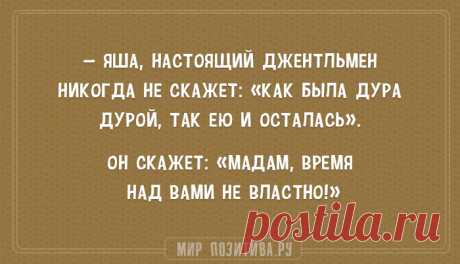 Самые остроумные цитаты одесситов из анекдотов. Каждая фраза прямо в точку!