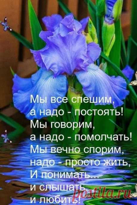 Берегите себя : Не работайте на износ. Не переживайте по пустякам. Купатесь в счастливых моментах.