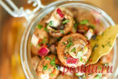 Вкусные маринованные грибы – подборка рецептов с фото